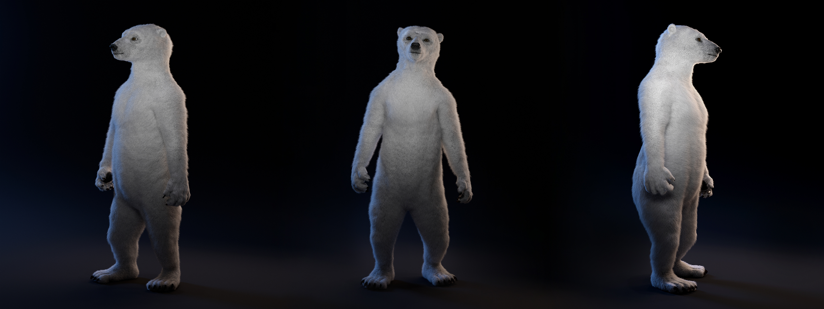 So What Turntable Polar Bear Stijn Sanders